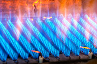 Berkley Marsh gas fired boilers